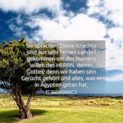 Picture 05 - Josua 9:9 LUTH1912 - Sie sprachen: Deine Knechte sind aus sehr fernen - Bible Verse Picture
