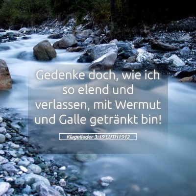 Picture 05 - Klagelieder 3:19 LUTH1912 - Gedenke doch, wie ich so elend und verlassen, mit - Bible Verse Picture