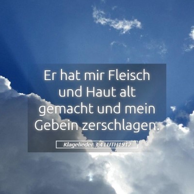 Picture 05 - Klagelieder 3:4 LUTH1912 - Er hat mir Fleisch und Haut alt gemacht und mein - Bible Verse Picture