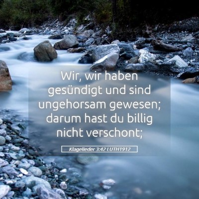 Picture 05 - Klagelieder 3:42 LUTH1912 - Wir, wir haben gesündigt und sind ungehorsam - Bible Verse Picture