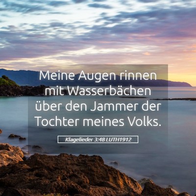 Picture 05 - Klagelieder 3:48 LUTH1912 - Meine Augen rinnen mit Wasserbächen über den - Bible Verse Picture