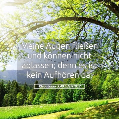 Picture 05 - Klagelieder 3:49 LUTH1912 - Meine Augen fließen und können nicht ablassen; - Bible Verse Picture