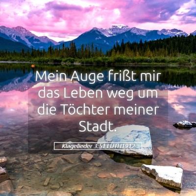 Picture 05 - Klagelieder 3:51 LUTH1912 - Mein Auge frißt mir das Leben weg um die - Bible Verse Picture