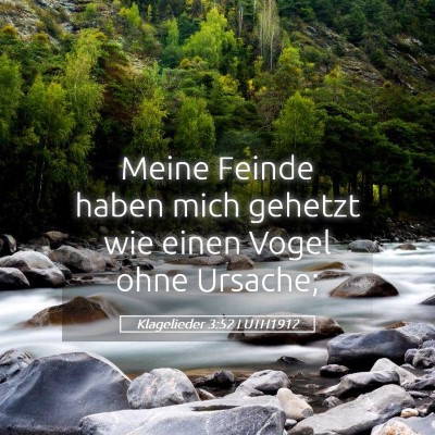 Picture 05 - Klagelieder 3:52 LUTH1912 - Meine Feinde haben mich gehetzt wie einen Vogel - Bible Verse Picture