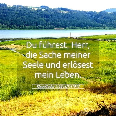 Picture 05 - Klagelieder 3:58 LUTH1912 - Du führest, Herr, die Sache meiner Seele und - Bible Verse Picture