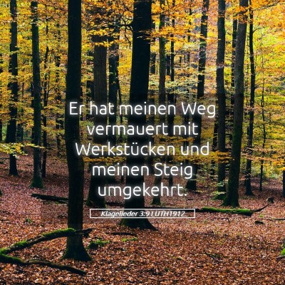 Picture 05 - Klagelieder 3:9 LUTH1912 - Er hat meinen Weg vermauert mit Werkstücken und - Bible Verse Picture