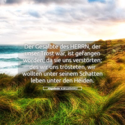 Picture 05 - Klagelieder 4:20 LUTH1912 - Der Gesalbte des HERRN, der unser Trost war, ist - Bible Verse Picture