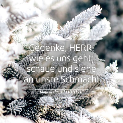 Picture 05 - Klagelieder 5:1 LUTH1912 - Gedenke, HERR, wie es uns geht; schaue und siehe - Bible Verse Picture
