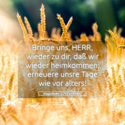 Picture 05 - Klagelieder 5:21 LUTH1912 - Bringe uns, HERR, wieder zu dir, daß wir wieder - Bible Verse Picture