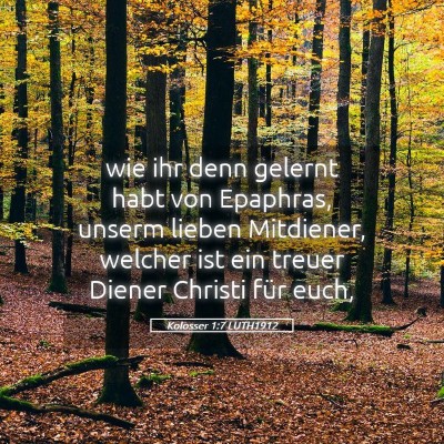Picture 05 - Kolosser 1:7 LUTH1912 - wie ihr denn gelernt habt von Epaphras, unserm - Bible Verse Picture