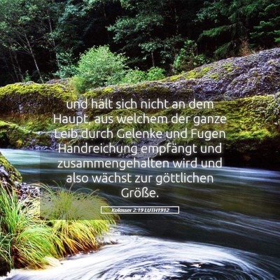 Picture 05 - Kolosser 2:19 LUTH1912 - und hält sich nicht an dem Haupt, aus welchem - Bible Verse Picture
