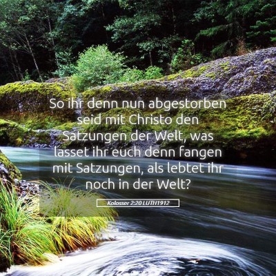 Picture 05 - Kolosser 2:20 LUTH1912 - So ihr denn nun abgestorben seid mit Christo den - Bible Verse Picture