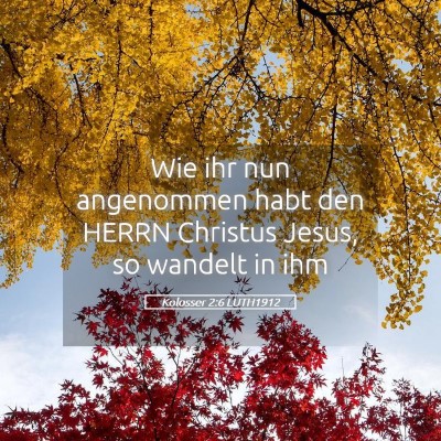 Picture 05 - Kolosser 2:6 LUTH1912 - Wie ihr nun angenommen habt den HERRN Christus - Bible Verse Picture