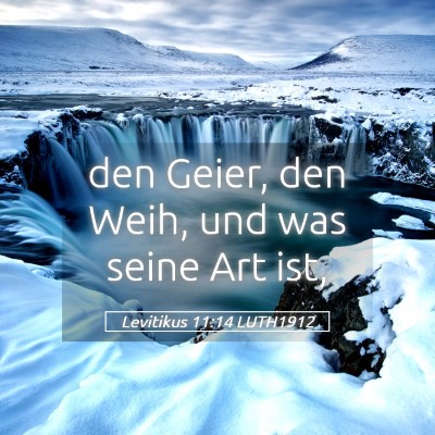 Picture 05 - Levitikus 11:14 LUTH1912 - den Geier, den Weih, und was seine Art - Bible Verse Picture