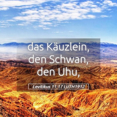 Picture 05 - Levitikus 11:17 LUTH1912 - das Käuzlein, den Schwan, den - Bible Verse Picture