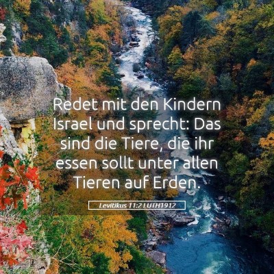 Picture 05 - Levitikus 11:2 LUTH1912 - Redet mit den Kindern Israel und sprecht: Das - Bible Verse Picture