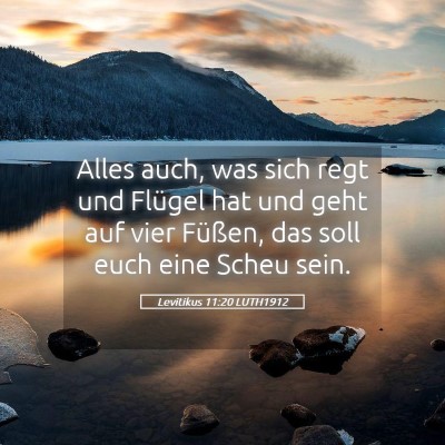 Picture 05 - Levitikus 11:20 LUTH1912 - Alles auch, was sich regt und Flügel hat und - Bible Verse Picture