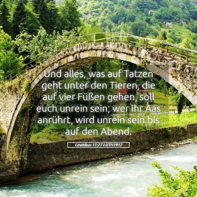 Picture 05 - Levitikus 11:27 LUTH1912 - Und alles, was auf Tatzen geht unter den Tieren, - Bible Verse Picture