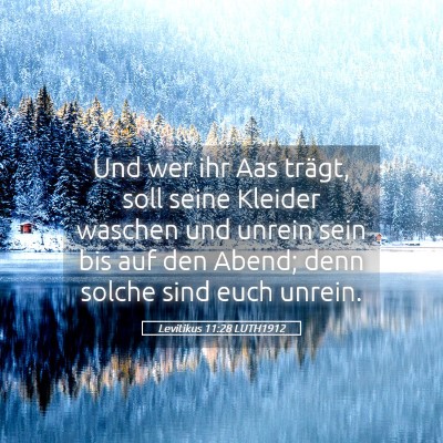 Picture 05 - Levitikus 11:28 LUTH1912 - Und wer ihr Aas trägt, soll seine Kleider - Bible Verse Picture