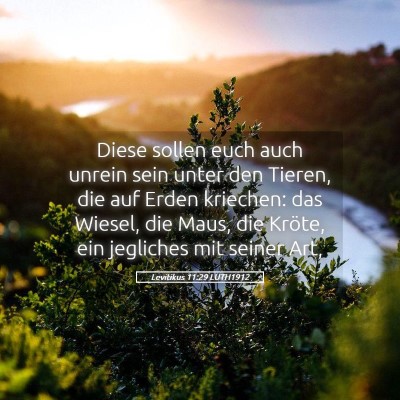 Picture 05 - Levitikus 11:29 LUTH1912 - Diese sollen euch auch unrein sein unter den - Bible Verse Picture