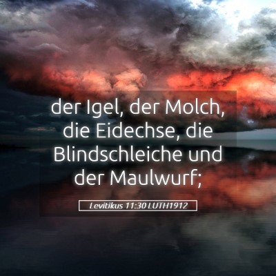 Picture 05 - Levitikus 11:30 LUTH1912 - der Igel, der Molch, die Eidechse, die - Bible Verse Picture