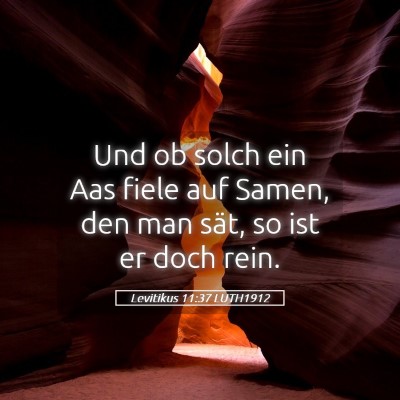 Picture 05 - Levitikus 11:37 LUTH1912 - Und ob solch ein Aas fiele auf Samen, den man - Bible Verse Picture