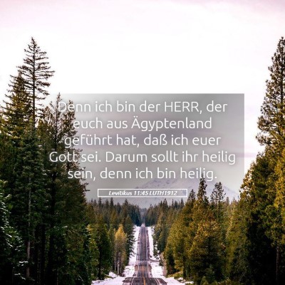 Picture 05 - Levitikus 11:45 LUTH1912 - Denn ich bin der HERR, der euch aus Ägyptenland - Bible Verse Picture