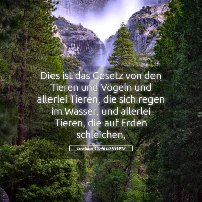 Picture 05 - Levitikus 11:46 LUTH1912 - Dies ist das Gesetz von den Tieren und Vögeln - Bible Verse Picture