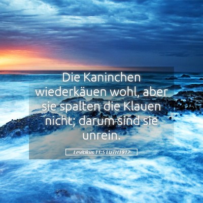 Picture 05 - Levitikus 11:5 LUTH1912 - Die Kaninchen wiederkäuen wohl, aber sie spalten - Bible Verse Picture