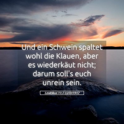 Picture 05 - Levitikus 11:7 LUTH1912 - Und ein Schwein spaltet wohl die Klauen, aber es - Bible Verse Picture