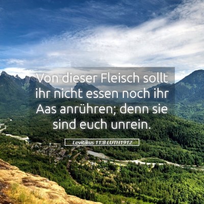 Picture 05 - Levitikus 11:8 LUTH1912 - Von dieser Fleisch sollt ihr nicht essen noch ihr - Bible Verse Picture