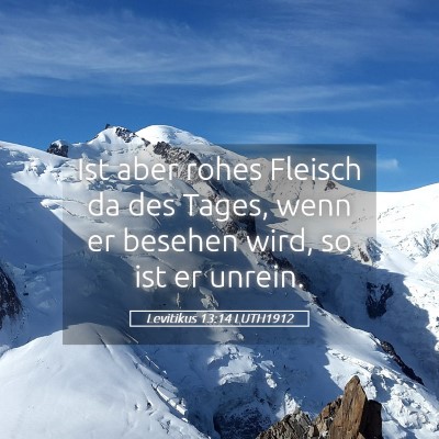 Picture 05 - Levitikus 13:14 LUTH1912 - Ist aber rohes Fleisch da des Tages, wenn er - Bible Verse Picture