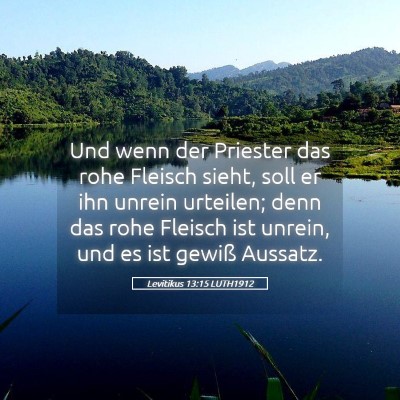 Picture 05 - Levitikus 13:15 LUTH1912 - Und wenn der Priester das rohe Fleisch sieht, - Bible Verse Picture