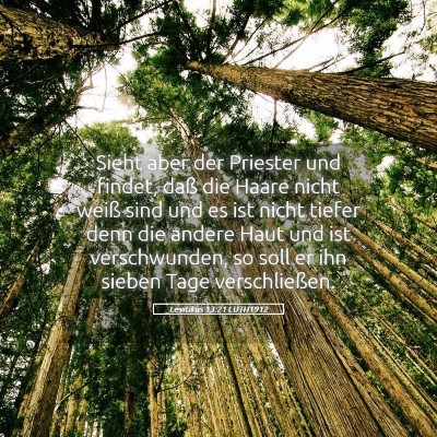 Picture 05 - Levitikus 13:21 LUTH1912 - Sieht aber der Priester und findet, daß die - Bible Verse Picture