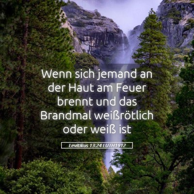 Picture 05 - Levitikus 13:24 LUTH1912 - Wenn sich jemand an der Haut am Feuer brennt und - Bible Verse Picture