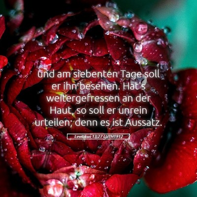 Picture 05 - Levitikus 13:27 LUTH1912 - und am siebenten Tage soll er ihn besehen. Hat's - Bible Verse Picture