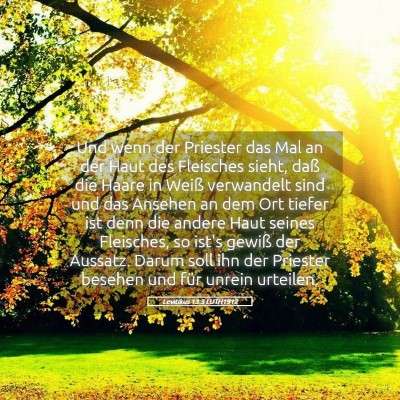 Picture 05 - Levitikus 13:3 LUTH1912 - Und wenn der Priester das Mal an der Haut des - Bible Verse Picture