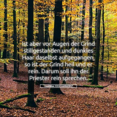 Picture 05 - Levitikus 13:37 LUTH1912 - Ist aber vor Augen der Grind stillgestanden und - Bible Verse Picture