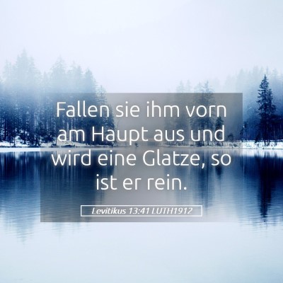 Picture 05 - Levitikus 13:41 LUTH1912 - Fallen sie ihm vorn am Haupt aus und wird eine - Bible Verse Picture
