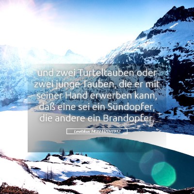 Picture 05 - Levitikus 14:22 LUTH1912 - und zwei Turteltauben oder zwei junge Tauben, die - Bible Verse Picture