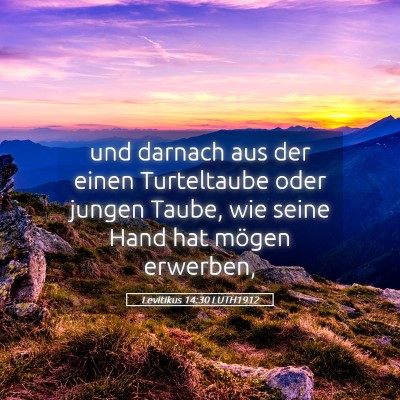Picture 05 - Levitikus 14:30 LUTH1912 - und darnach aus der einen Turteltaube oder jungen - Bible Verse Picture