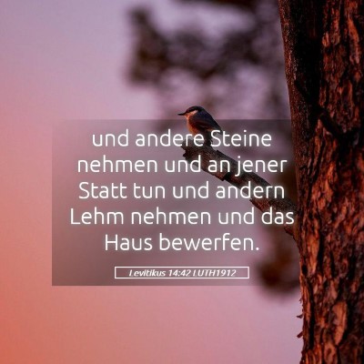 Picture 05 - Levitikus 14:42 LUTH1912 - und andere Steine nehmen und an jener Statt tun - Bible Verse Picture