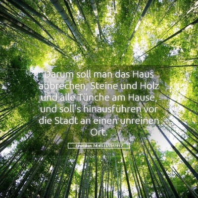 Picture 05 - Levitikus 14:45 LUTH1912 - Darum soll man das Haus abbrechen, Steine und - Bible Verse Picture