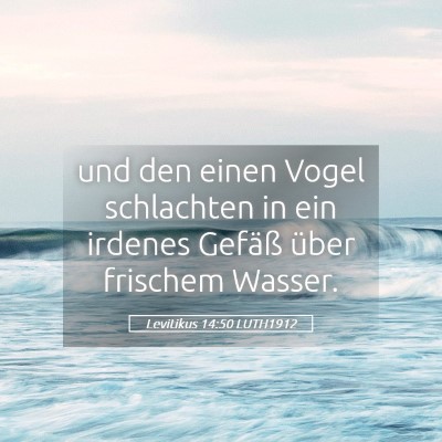 Picture 05 - Levitikus 14:50 LUTH1912 - und den einen Vogel schlachten in ein irdenes - Bible Verse Picture