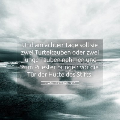 Picture 05 - Levitikus 15:29 LUTH1912 - Und am achten Tage soll sie zwei Turteltauben - Bible Verse Picture