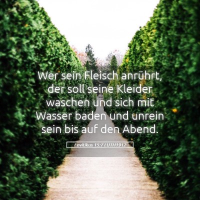 Picture 05 - Levitikus 15:7 LUTH1912 - Wer sein Fleisch anrührt, der soll seine Kleider - Bible Verse Picture