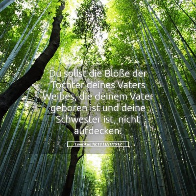 Picture 05 - Levitikus 18:11 LUTH1912 - Du sollst die Blöße der Tochter deines Vaters - Bible Verse Picture