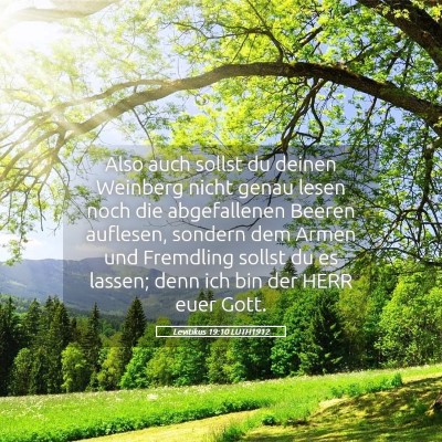 Picture 05 - Levitikus 19:10 LUTH1912 - Also auch sollst du deinen Weinberg nicht genau - Bible Verse Picture