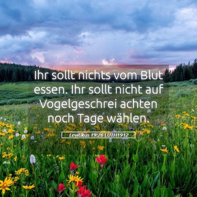 Picture 05 - Levitikus 19:26 LUTH1912 - Ihr sollt nichts vom Blut essen. Ihr sollt nicht - Bible Verse Picture