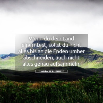 Picture 05 - Levitikus 19:9 LUTH1912 - Wenn du dein Land einerntest, sollst du nicht - Bible Verse Picture